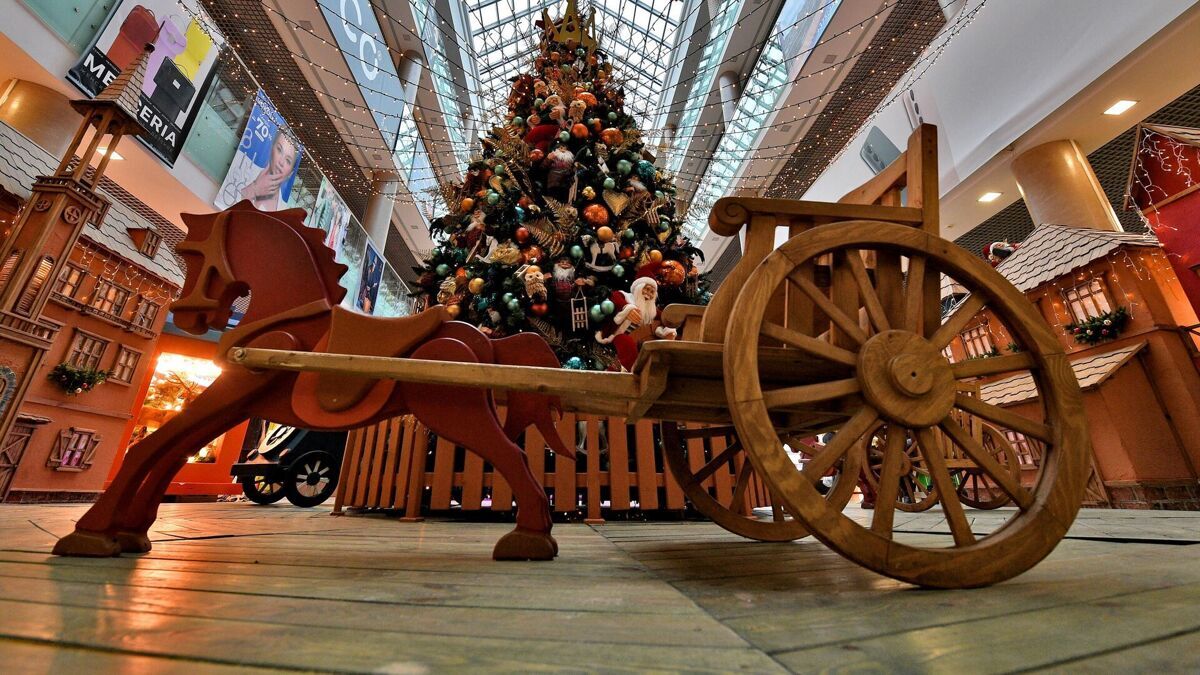 Изображение №4